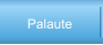 Palaute